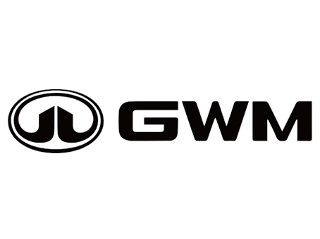 Box de fibra para GWM